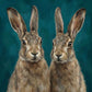 'The Curious Hares' Canvas Print, 82 × 82cm