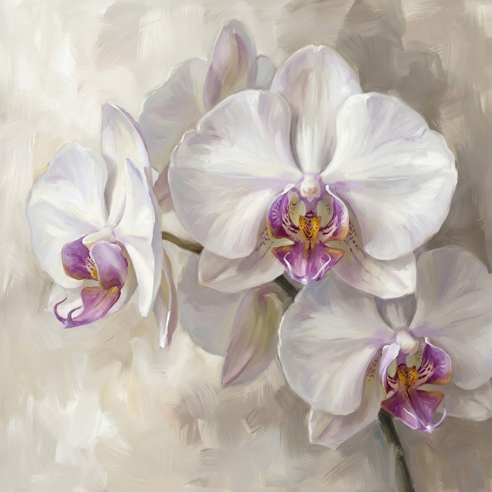 'Orchid Elegance' Canvas Print, 82 × 82cm