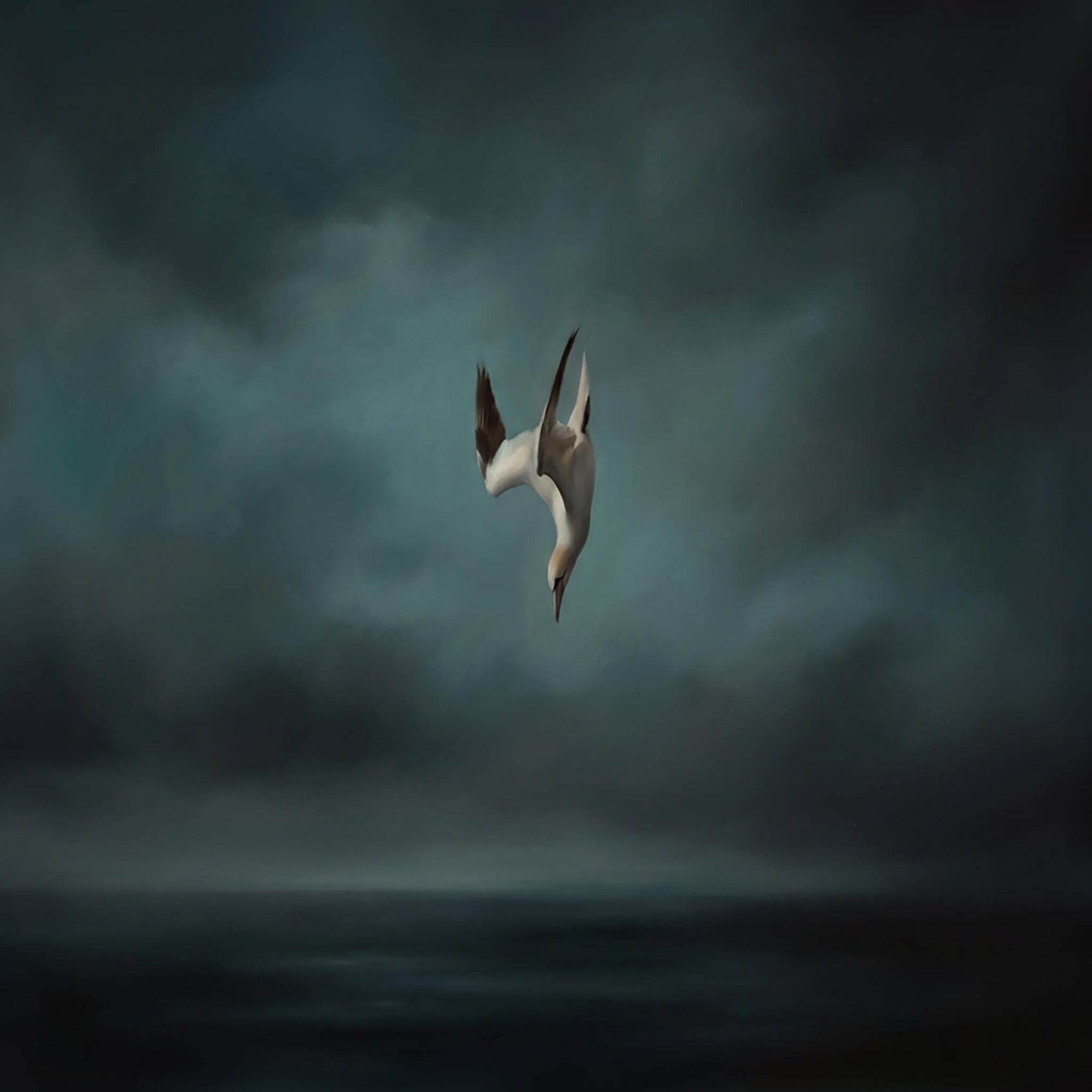 'Midnight Dive' Canvas Print, 82 × 82cm