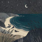 'Seals by Starlight' Canvas Print, 82 × 82cm