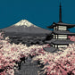 'Fuji in Bloom' Canvas Print, 82 × 82cm
